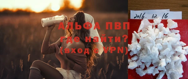 СК Вязьма