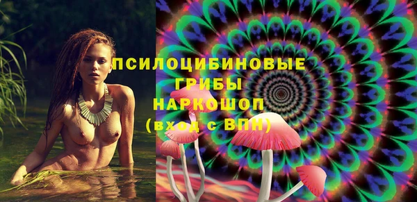 дмт Горнозаводск