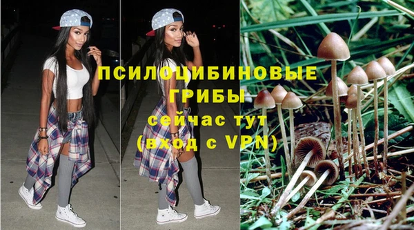 каннабис Вяземский