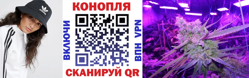 Конопля White Widow  Купить  Нефтегорск 